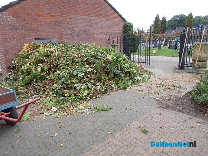 Mannen met groene vingers