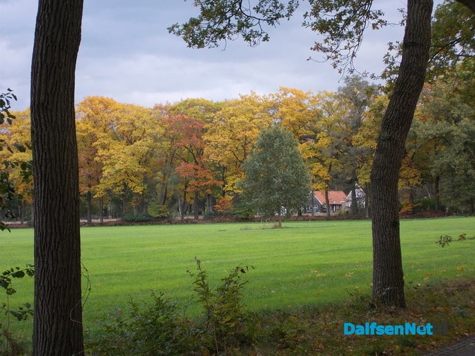 In deze Diezerstraat geen winkels, maar wel de mooiste etalage