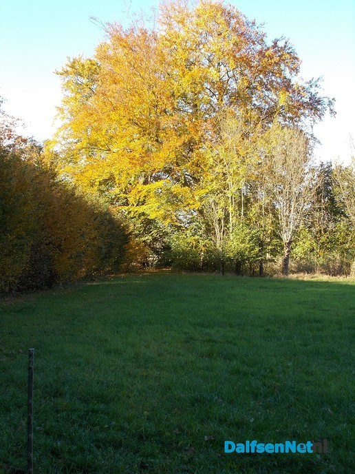 Nog wat natuurbeelden