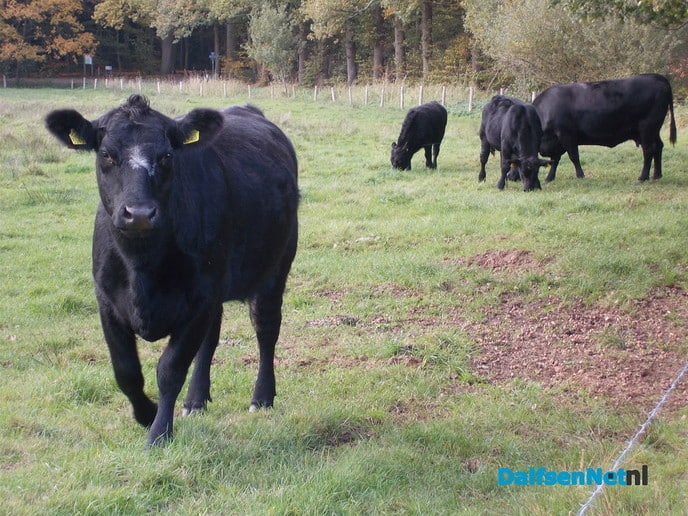 Nog wat natuurbeelden