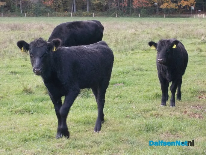 Nog wat natuurbeelden