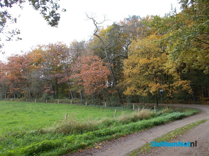 Nog wat natuurbeelden