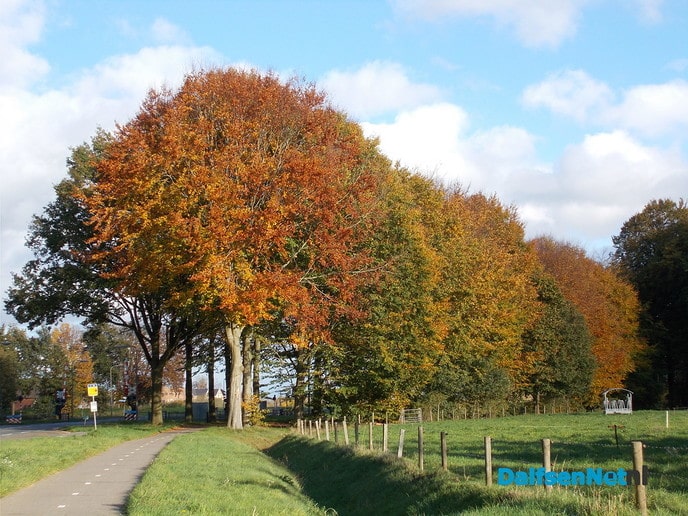 Nog wat natuurbeelden