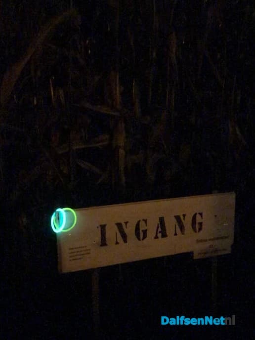 Lichtjeszoektocht in donker maïsdoolhof - Foto: Ingezonden foto
