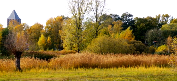 Herfstkleuren aan de Rondweg - Foto: Ingezonden foto