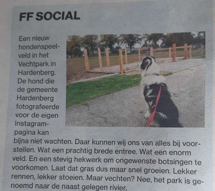 Moet ik bij Sinterklaas zijn voor deze vraag? - Foto: Ingezonden foto