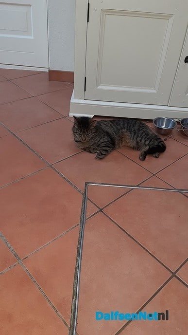 Zoë, waar zit je?? - Foto: Ingezonden foto