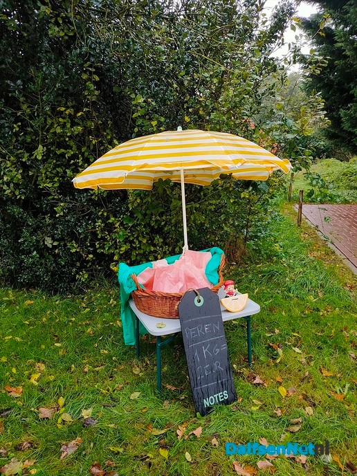 Ze zijn er weer, de lekkere stoofpeertjes - Foto: Ingezonden foto