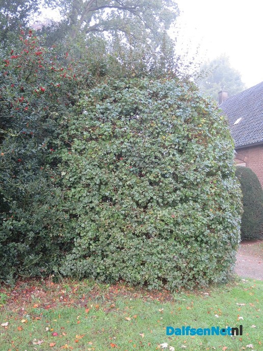 Vakmanschap is meesterschap - Foto: Wim