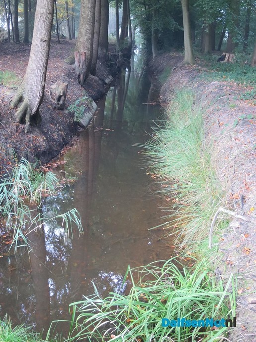 De Marswetering vraagt om meer water - Foto: Wim
