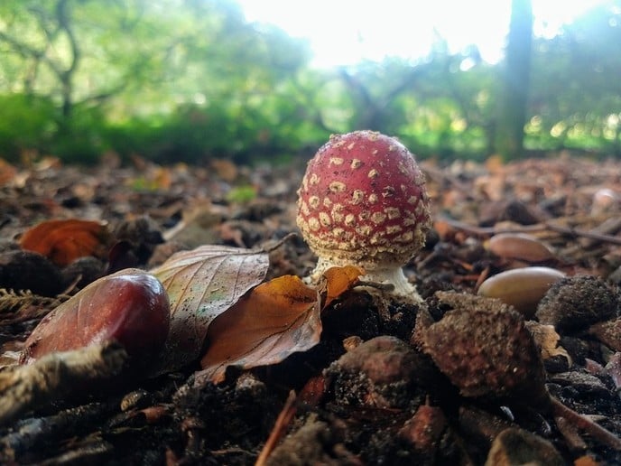 Zo maar een paar kiekjes - Foto: Ingezonden foto