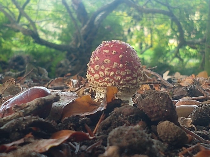 Zo maar een paar kiekjes - Foto: Ingezonden foto