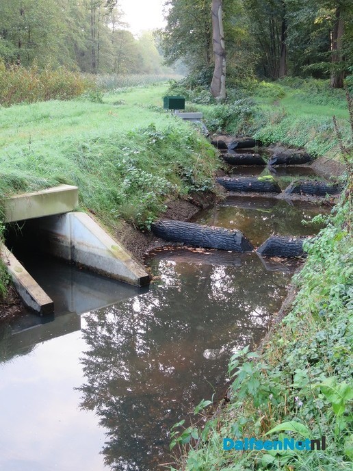 De Marswetering vraagt om meer water - Foto: Wim