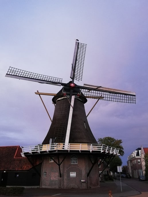 Je ziet ze haast niet maar ze zijn er wel - Foto: Ingezonden foto