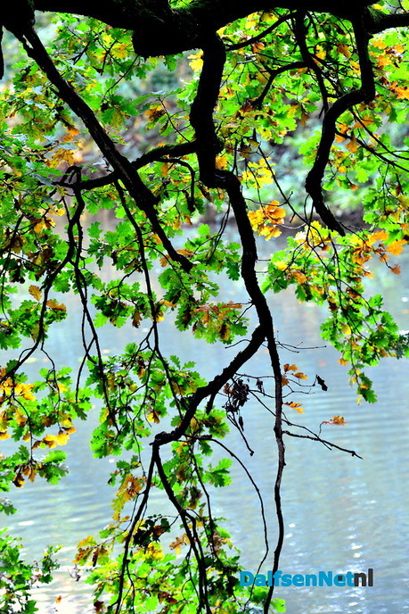  Herfstkleuren Engelse Werk - Foto: Ben Jonkman