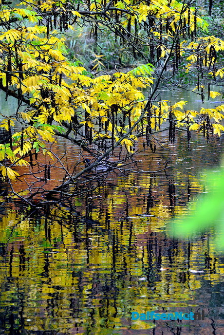  Herfstkleuren Engelse Werk - Foto: Ben Jonkman