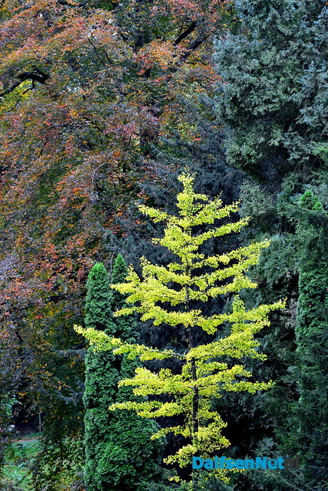  Herfstkleuren Engelse Werk - Foto: Ben Jonkman