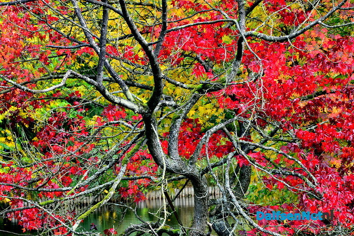  Herfstkleuren Engelse Werk - Foto: Ben Jonkman