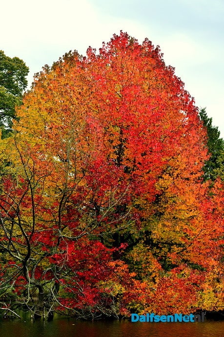  Herfstkleuren Engelse Werk - Foto: Ben Jonkman