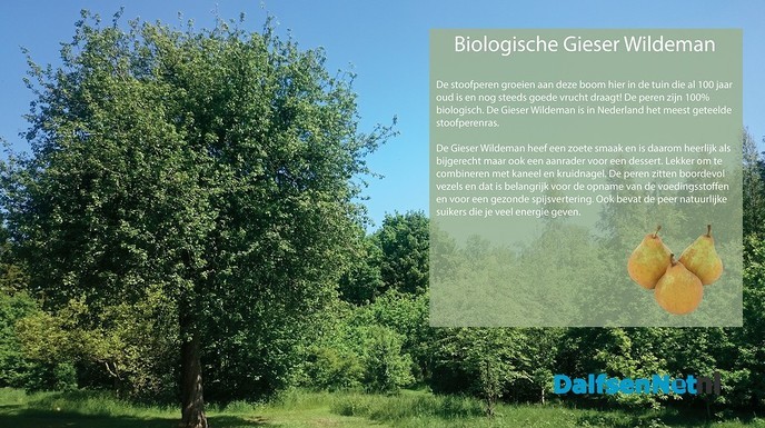 Ze zijn er weer, de lekkere stoofpeertjes - Foto: Ingezonden foto
