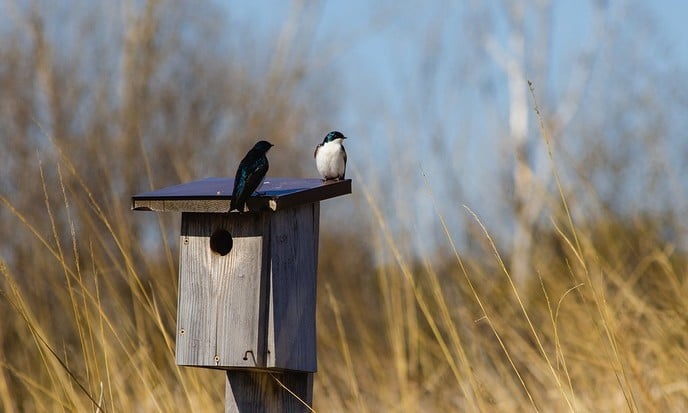 Gratis groenpakketten - Foto: Ingezonden foto