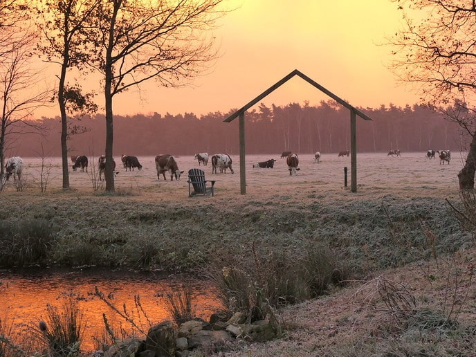 Een mooie ochtend - Foto: Ingezonden foto