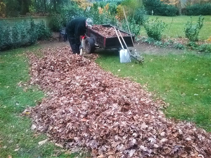 Flink met de natuur bezig