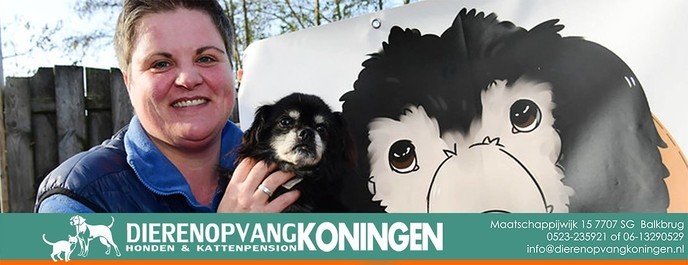 Dagbesteding bij Dierenopvang Koningen - Foto: Eigen geleverde foto