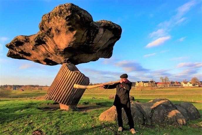 Midwinterhoornbloazen in Dalfsen - Foto: Ingezonden foto