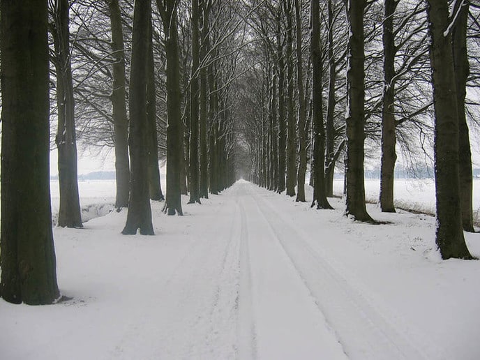 Sneeuwfoto’s - Foto: Ingezonden foto