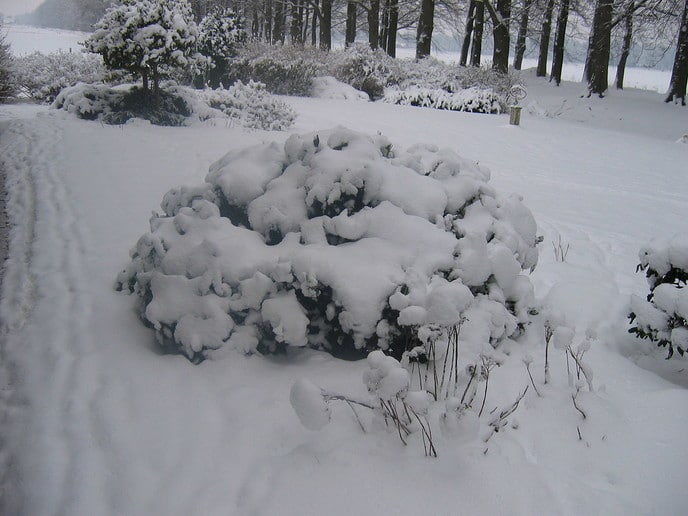 Sneeuwfoto’s - Foto: Ingezonden foto
