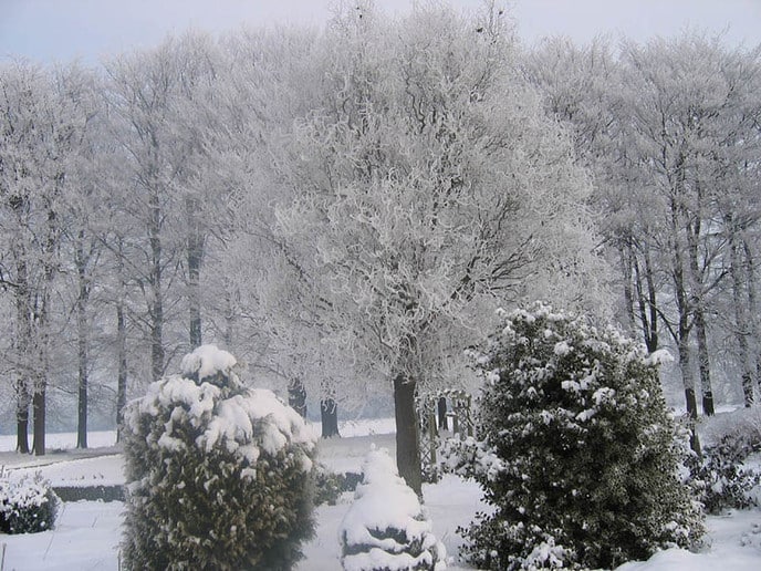 Sneeuwfoto’s - Foto: Ingezonden foto