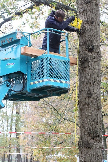 Bouw Klimbos Natuurlijk Heidepark van start - Foto: Hans Heerink
