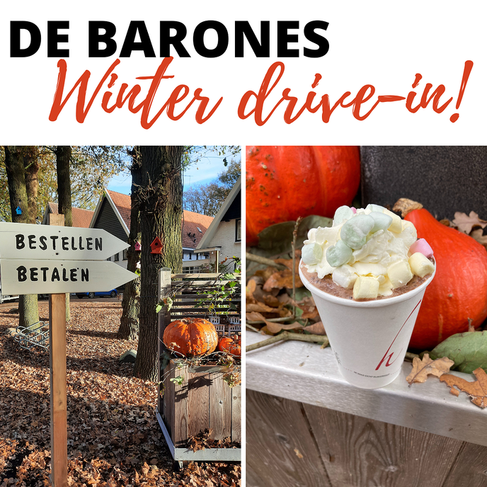 De Barones Winter Drive-in! - Foto: Eigen geleverde foto