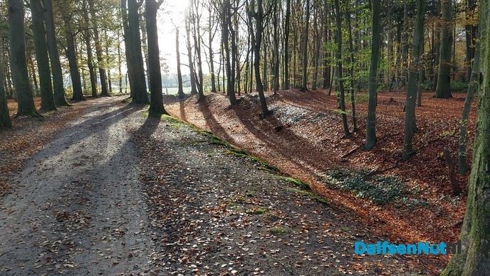 Foto’s - Foto: Ingezonden foto