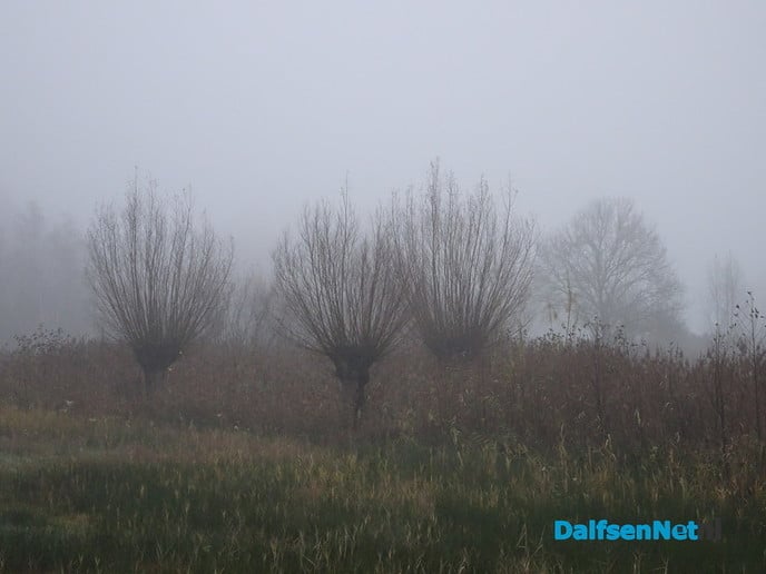 Rondje hondje Bellingeweer - Foto: Ingezonden foto