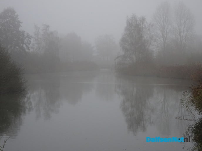 Rondje hondje Bellingeweer - Foto: Ingezonden foto