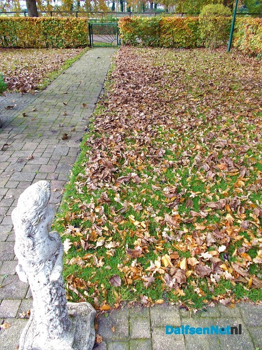 Tuin niet meer winterklaar maken