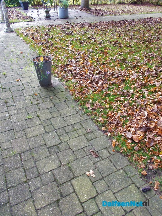 Tuin niet meer winterklaar maken