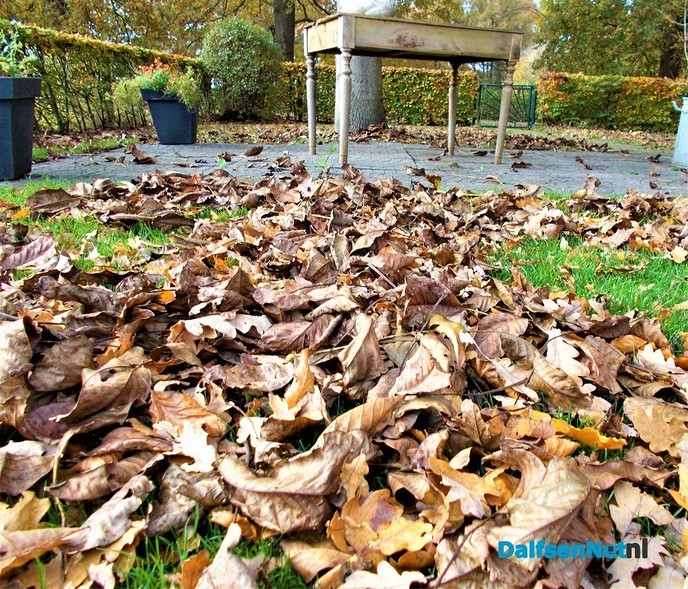 Tuin niet meer winterklaar maken