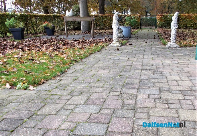 Tuin niet meer winterklaar maken