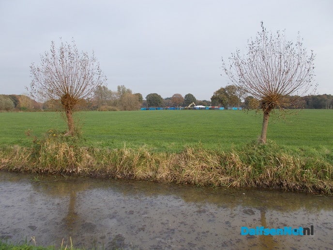 De Heer Bekedam: volgende week is alles weer over