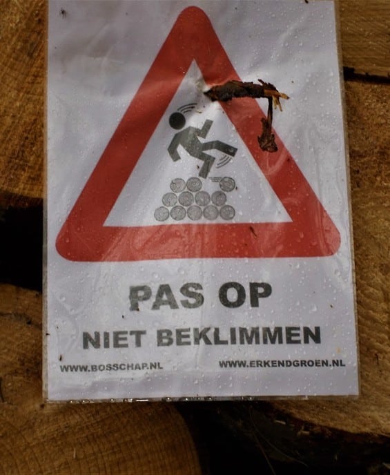 Foto’s