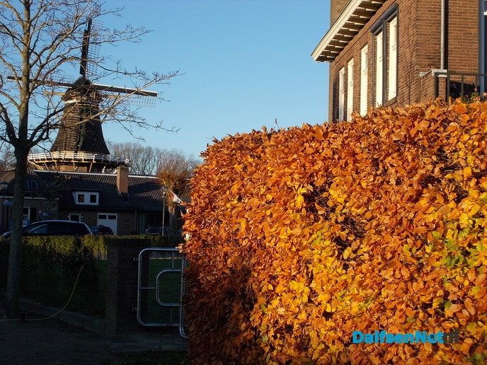 Herfst en zon, een prachtige combinatie