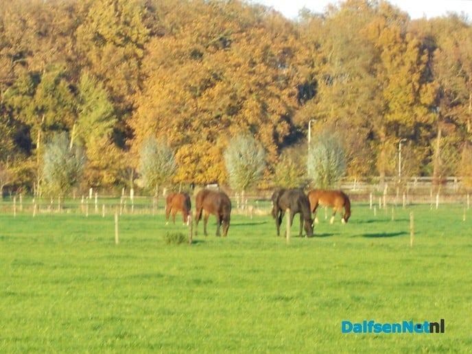 Herfst en zon, een prachtige combinatie