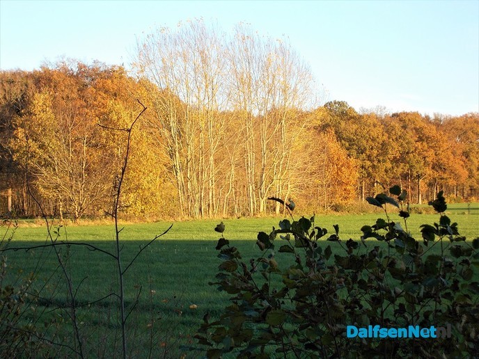Herfst en zon, een prachtige combinatie