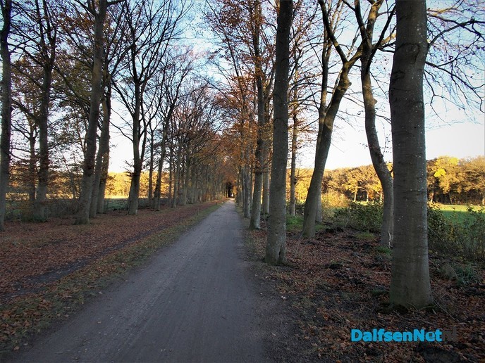 Herfst en zon, een prachtige combinatie