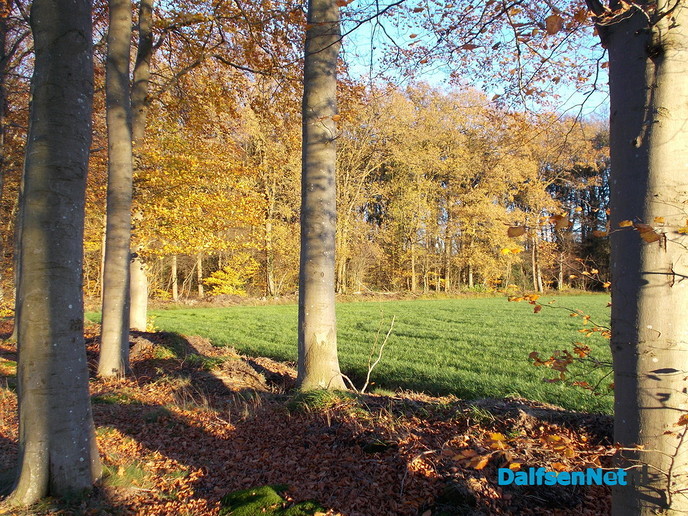 Herfst en zon, een prachtige combinatie