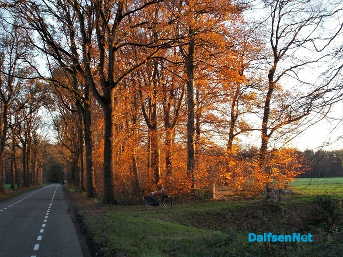 Herfst en zon, een prachtige combinatie