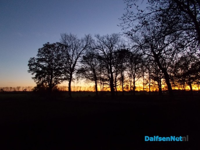 De maan scheen door de bomen